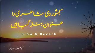 Kishwar Di Shayeri Da Unwan Ban gia hain  Slow and Reverb saraikysong [upl. by Jaquith]