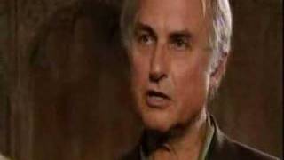 Richard Dawkins and Alistair McGrath  Christianity 7of8 [upl. by Willabella917]