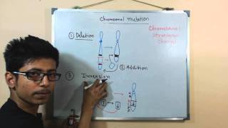 Chromosomal mutations  deletion mutation [upl. by Nightingale754]