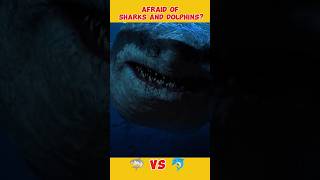 What are sharks afraid of sea sharks dolphin ocean [upl. by Yme]