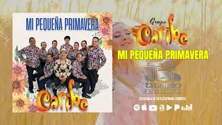 Grupo Caribe  Mi Pequeña Primavera Audio Oficial [upl. by Eleik]