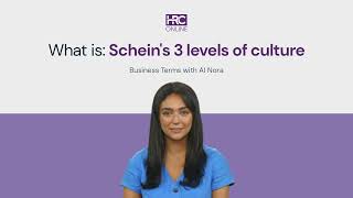 What is Scheins 3 levels of culture [upl. by Groscr]