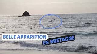 Bretagne  Une semaine bien remplie [upl. by Salhcin45]