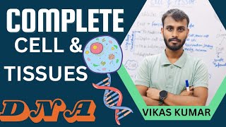 Complete Cell and Tissue Cell ampTissue DNA amp PROTEINS Mitosis [upl. by Leuamme858]