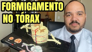 DOR E FORMIGAMENTO NO TÓRAX  3 CAUSAS COMUNS [upl. by Jennee502]