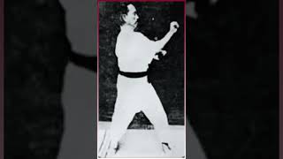 Gichin Funakoshi Tekki Shodan [upl. by Novonod]