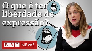 Glossário político O que é liberdade de expressão [upl. by Yenetruoc]