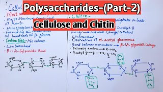 PolysaccharidesCellulose amp Chitin Jiyas Biology Tutorials [upl. by Ybsorc]