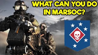 WHAT ARE THE DIFFERENT JOBS OF MARINE RAIDERS MARSOC [upl. by Georgy]