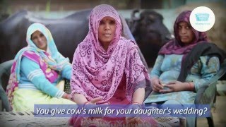 Mother Dairy  Tweet To Farmer  Thank You Farmer [upl. by Brandy]