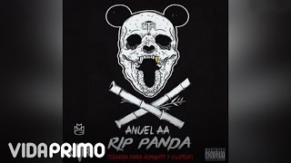 Anuel AA  RIP Panda Official Audio [upl. by Tova]