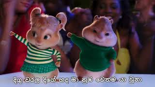 ලෙලෙනා  Lelena  Nilan Hettiarachchi song  Chipmunks amp Himabole version song with lyrics [upl. by Drofnil]