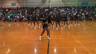 Southeast Raleigh Cheer Homecoming 2019 [upl. by Fiora]