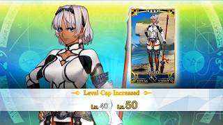 FGO Caenis ascension 180Lv [upl. by Eenat361]