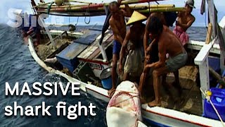 Fishing for shark fins battle against a tiger shark  SLICE [upl. by Clauddetta]