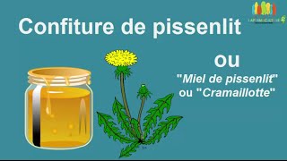 Recette de confiture de pissenlit quotcramaillottequot [upl. by Raynold368]