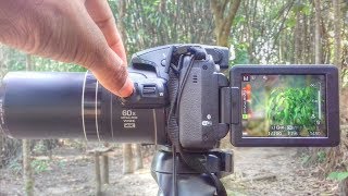 Full Manual Mode Nikon Coolpix B700  B600  P610  P900  P950  P1000 Tutorial [upl. by Notsehc]