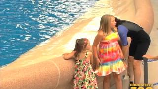 Army Sergeant Surprises Daughters at Brookfield Zoos Dolphin Presentation [upl. by Travus]