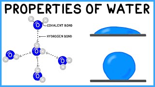 Properties of Water [upl. by Aihsekin427]