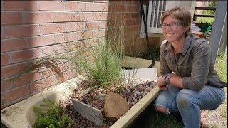 Recycling Greywater with a Simple Reed Bed System [upl. by Arramas220]