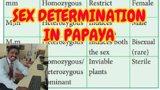 SEX DETERMINATION IN PAPAYA  TAMIL EXPLANATION [upl. by Auahsoj]