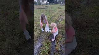 We love kidding season on the farm farm farmfun babygoats babygoat grandkids granddaughter [upl. by Hayarahs124]