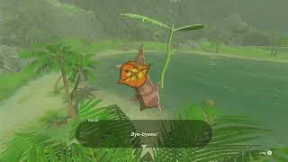 Korok Seed 265 Hateno Bay  The Legend of Zelda Tears of the Kingdom [upl. by Leiru]