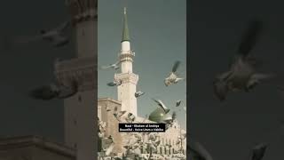 Khatam ul Ambiya  Aap Fakhr e Azam  Umme Habiba  Naat ummehabiba shorts naat naatsharif naat [upl. by Abbey79]