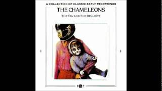 The Chameleons  endlessly falling [upl. by Aelak]