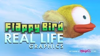 Flappy Bird Real Life Graphics [upl. by Utica739]