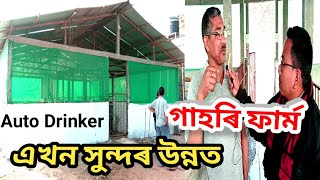 How to start a pig farm in Assam with low budget  Pig Farm in Assam  assam piggery  Assamese fram [upl. by Itoyj188]