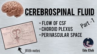 Cerebrospinal Fluid  Part 1 [upl. by Wiltshire274]