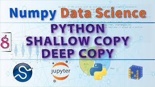 NumPy Data Science Learn Python Shallow Copy Vs Deep Copy Data Science With Python Programming 🐍 [upl. by Grounds45]