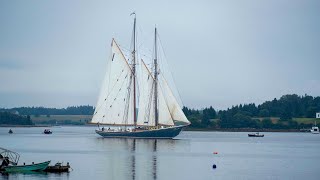 Sailing on the Bluenose II [upl. by Charissa242]