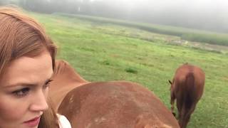 Morning Coffee with the Horses in Vermont  Maggie Geha [upl. by Nwahsear]