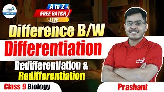 Difference BW Differentiation Dedifferentiation amp Redifferentiation  Class 9 Biology  LIVE [upl. by Marthe]