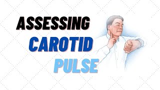 How to find and assess carotid pulse rate [upl. by Tedman]