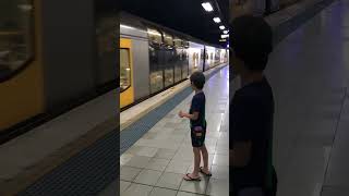 Tangara T Set departing Hurstville Station [upl. by Haerle]