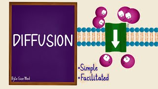 Diffusion  Passive Transport  Transport Across the Cell Membrane  Cell Physiology [upl. by Fishman]