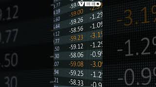 Kronox Lab Sciences IPO Analysis 2024 [upl. by Nolyaw]