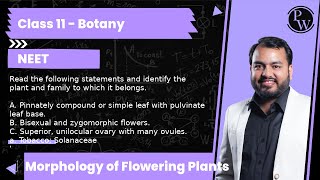 Read the following statements and identify the plant and family to which it belongs A Pinnatel [upl. by Notsrik]