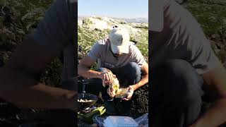 Saving a Birds Life Goes Wrong PART 2 fishing crabbing nature sad whyohwhy [upl. by Ahsata]