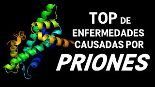 TOP Enfermedades causadas por PRIONES [upl. by Nednyl866]