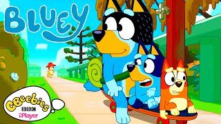 Beach Fun  Bluey  CBeebies [upl. by Novoj]