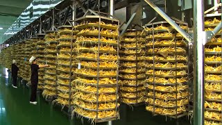 Worlds Most Expensive Root  Korean Ginseng Harvesting And Processing in Factory [upl. by Elaynad]