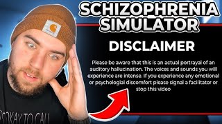 Reacting to a Schizophrenia Simulation [upl. by Naenej]