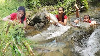 Survival in forest Catch two big fish for food Cooking fish for lunch Catch grasshopper for food [upl. by Nawuq]