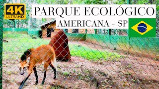 PARQUE ECOLOGICO DE AMERICANA  4K  WALKING TOUR [upl. by Srini]