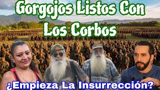 Gorgojos Dan Inicio A La Resurrección  ¿Que Paso Con La Yanira Berrios [upl. by Engedi796]