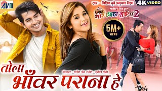 Mor Chhaiya Bhuiya 2  Cg Movie Song  Tola Bhanwar Parana He  Chhattisgarhi Gana Deepak Elsa AVM [upl. by Inajar307]